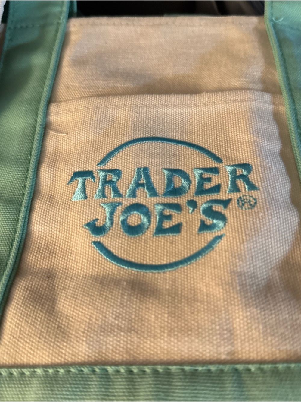 Trader Joe's Canvas Tote in Aqua and Mint